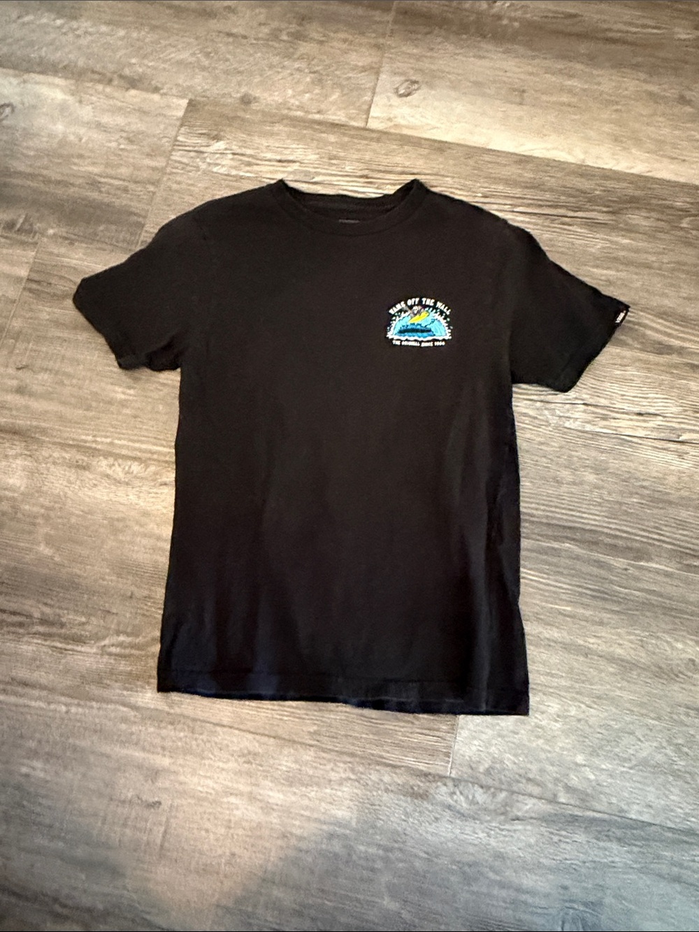Vans Black Graphic Tee with Small Colorful Chest Logo